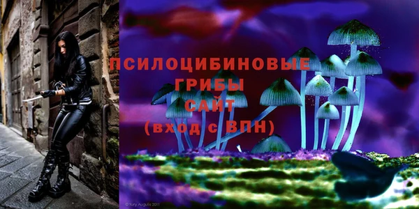 бутират Верхний Тагил