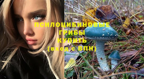 амф Верея