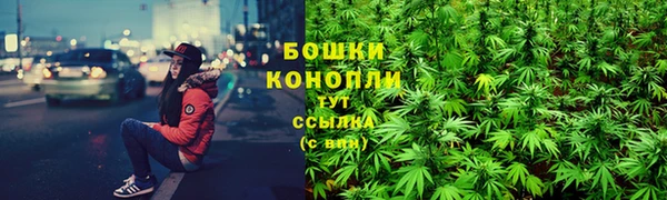 амф Верея