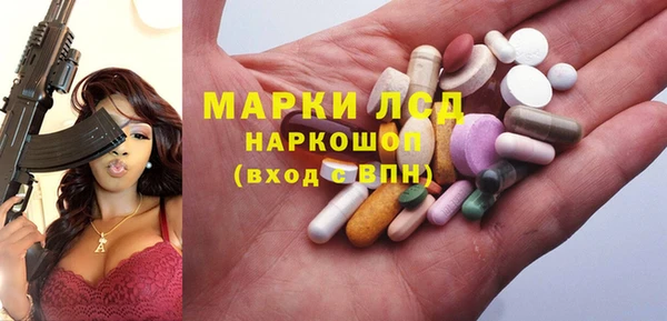 амф Верея