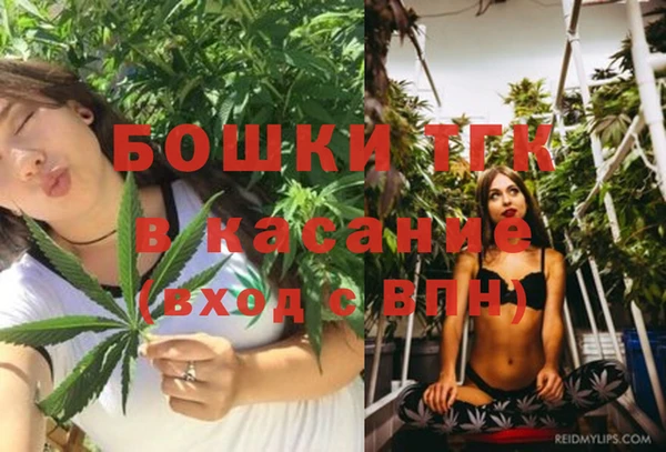 амф Верея